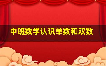 中班数学认识单数和双数