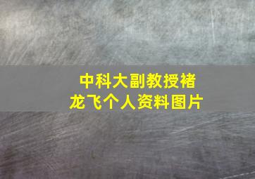 中科大副教授褚龙飞个人资料图片