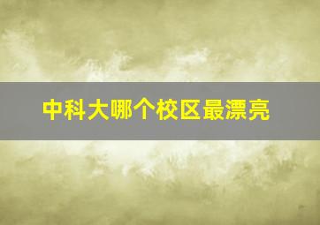 中科大哪个校区最漂亮