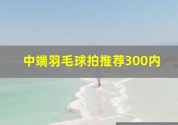 中端羽毛球拍推荐300内