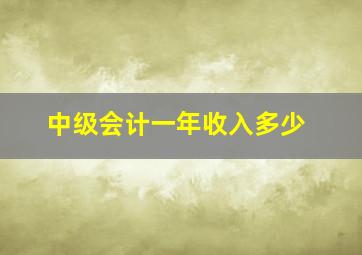 中级会计一年收入多少