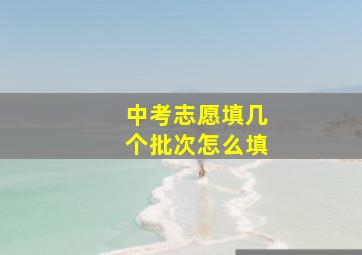 中考志愿填几个批次怎么填