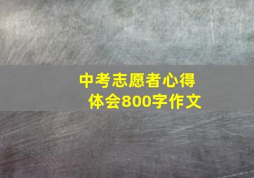 中考志愿者心得体会800字作文