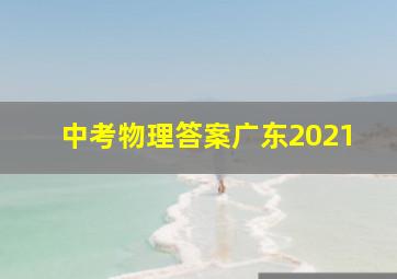 中考物理答案广东2021