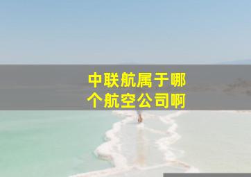 中联航属于哪个航空公司啊