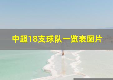 中超18支球队一览表图片