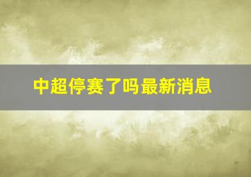 中超停赛了吗最新消息