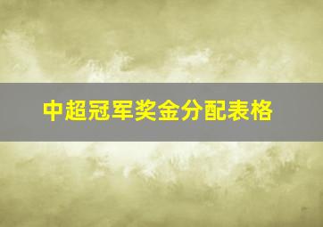 中超冠军奖金分配表格