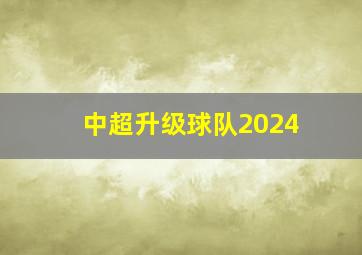 中超升级球队2024