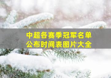 中超各赛季冠军名单公布时间表图片大全