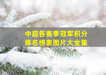 中超各赛季冠军积分排名榜表图片大全集