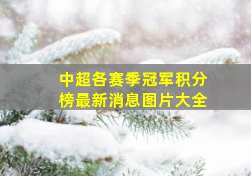 中超各赛季冠军积分榜最新消息图片大全