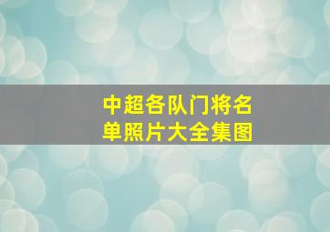 中超各队门将名单照片大全集图