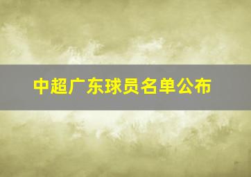 中超广东球员名单公布