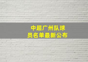 中超广州队球员名单最新公布