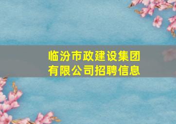 临汾市政建设集团有限公司招聘信息