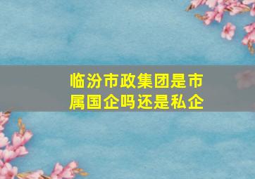 临汾市政集团是市属国企吗还是私企