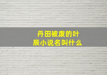 丹田被废的叶辰小说名叫什么