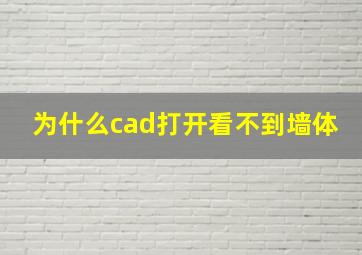 为什么cad打开看不到墙体