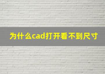 为什么cad打开看不到尺寸