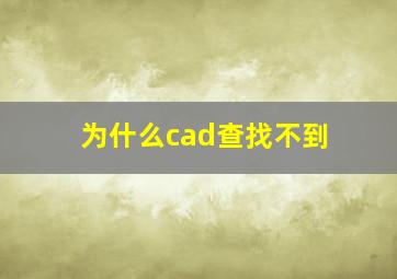 为什么cad查找不到