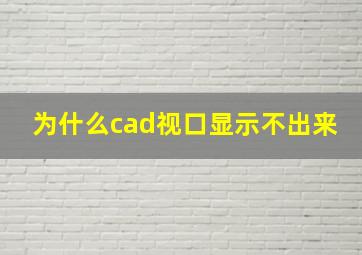 为什么cad视口显示不出来