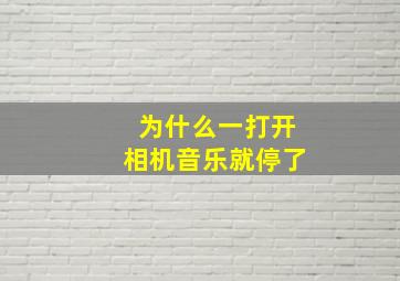 为什么一打开相机音乐就停了