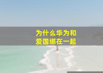 为什么华为和爱国绑在一起