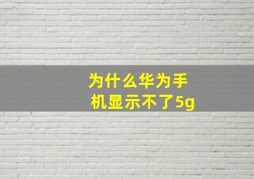 为什么华为手机显示不了5g