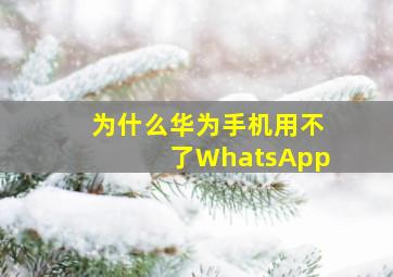 为什么华为手机用不了WhatsApp