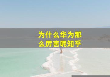 为什么华为那么厉害呢知乎