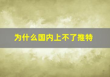 为什么国内上不了推特