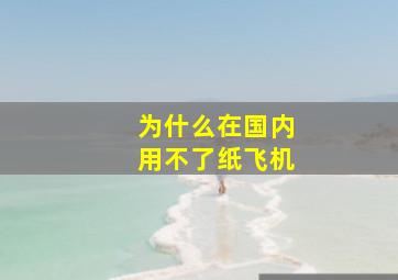 为什么在国内用不了纸飞机