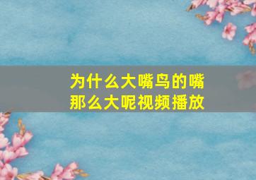 为什么大嘴鸟的嘴那么大呢视频播放