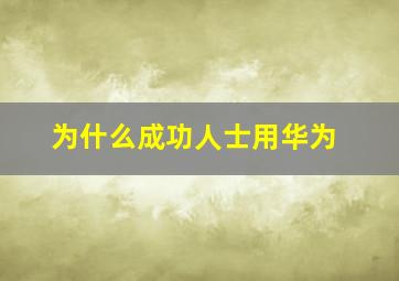 为什么成功人士用华为