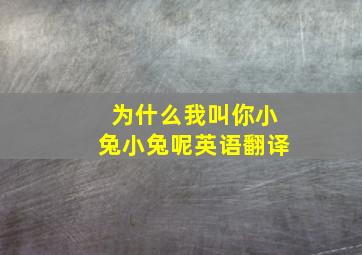 为什么我叫你小兔小兔呢英语翻译