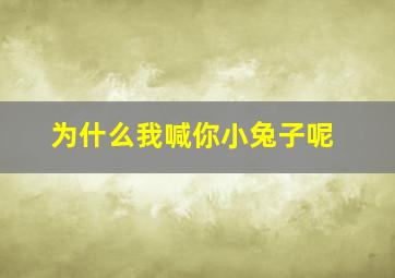 为什么我喊你小兔子呢