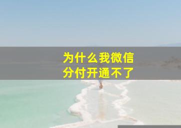 为什么我微信分付开通不了