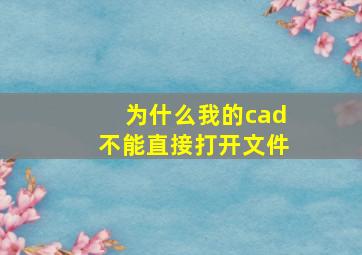 为什么我的cad不能直接打开文件