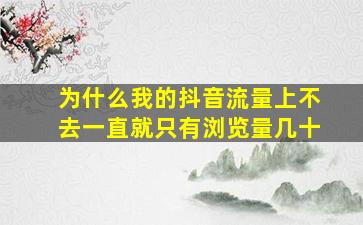 为什么我的抖音流量上不去一直就只有浏览量几十