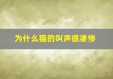 为什么猫的叫声很凄惨