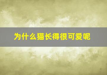 为什么猫长得很可爱呢