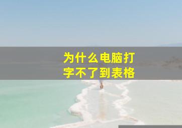 为什么电脑打字不了到表格