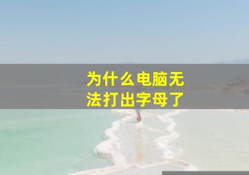 为什么电脑无法打出字母了