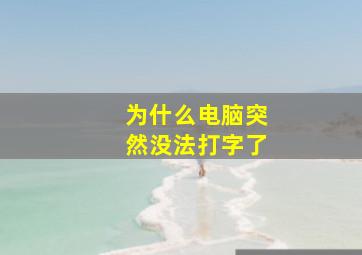 为什么电脑突然没法打字了