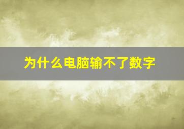 为什么电脑输不了数字