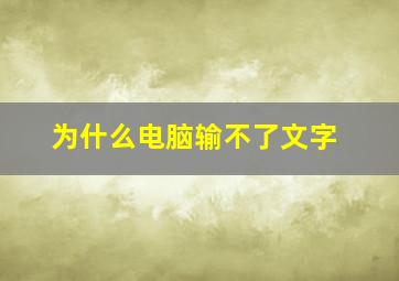 为什么电脑输不了文字