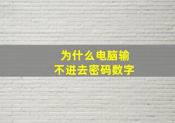 为什么电脑输不进去密码数字