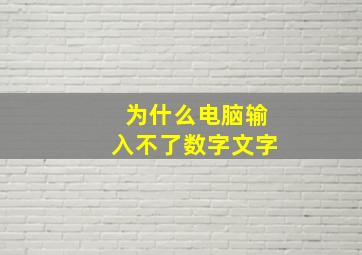 为什么电脑输入不了数字文字