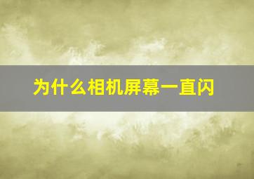 为什么相机屏幕一直闪